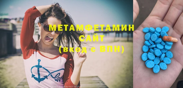 индика Абаза