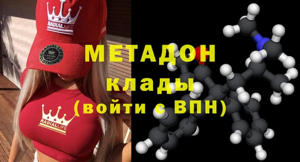 индика Абаза