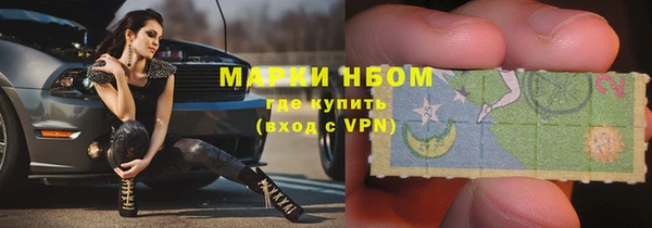 индика Абаза