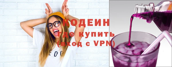 индика Абаза