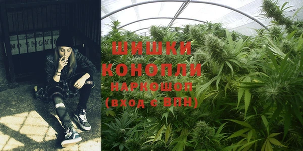 индика Абаза