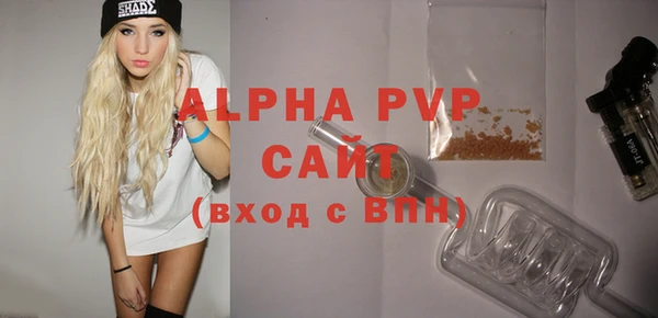 индика Абаза