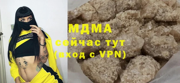 индика Абаза