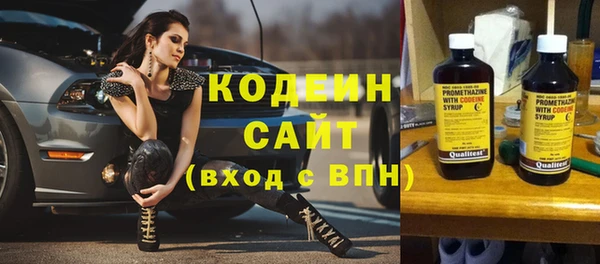 индика Абаза
